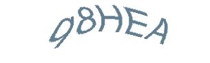 عبارت امنیتی