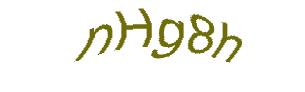 عبارت امنیتی