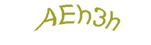 عبارت امنیتی