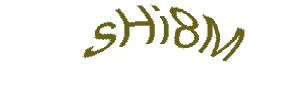 عبارت امنیتی