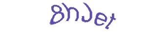 عبارت امنیتی