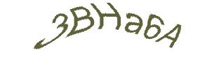 عبارت امنیتی