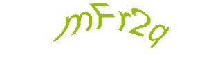 عبارت امنیتی