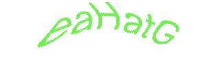 عبارت امنیتی