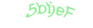 عبارت امنیتی