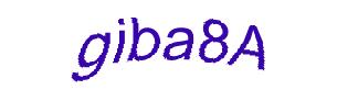 عبارت امنیتی