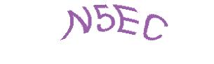 عبارت امنیتی