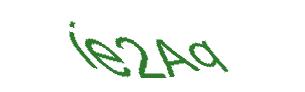 عبارت امنیتی