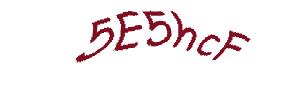 عبارت امنیتی
