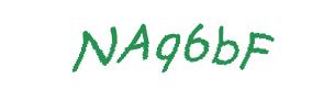 عبارت امنیتی