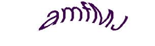 عبارت امنیتی