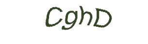 عبارت امنیتی