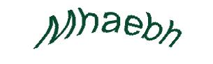 عبارت امنیتی