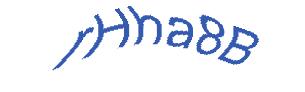 عبارت امنیتی
