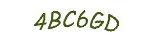 عبارت امنیتی