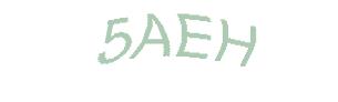 عبارت امنیتی