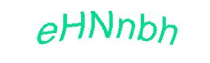 عبارت امنیتی