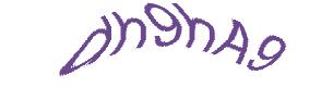عبارت امنیتی