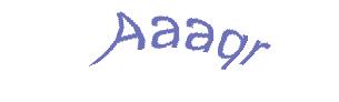 عبارت امنیتی