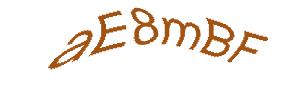 عبارت امنیتی