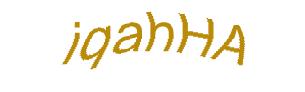 عبارت امنیتی