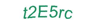 عبارت امنیتی