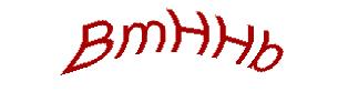 عبارت امنیتی