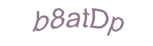 عبارت امنیتی