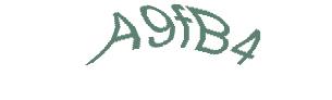 عبارت امنیتی