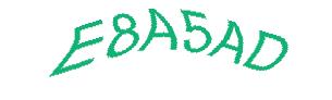 عبارت امنیتی
