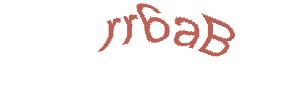 عبارت امنیتی