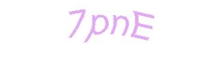 عبارت امنیتی