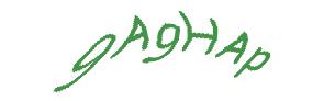 عبارت امنیتی