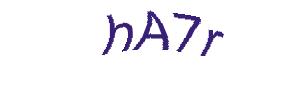 عبارت امنیتی