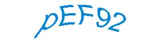 عبارت امنیتی