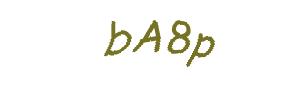 عبارت امنیتی