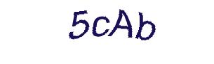 عبارت امنیتی