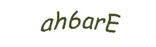 عبارت امنیتی