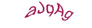 عبارت امنیتی