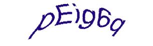 عبارت امنیتی