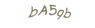عبارت امنیتی