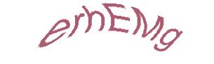 عبارت امنیتی
