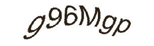 عبارت امنیتی