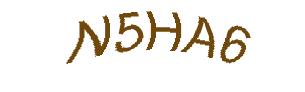عبارت امنیتی
