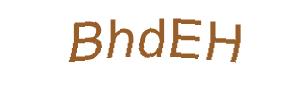 عبارت امنیتی