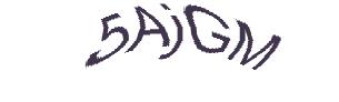 عبارت امنیتی