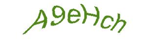 عبارت امنیتی