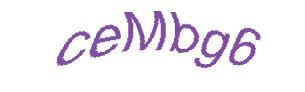 عبارت امنیتی
