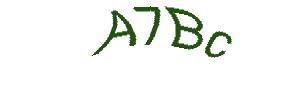 عبارت امنیتی