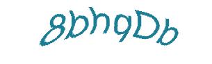 عبارت امنیتی